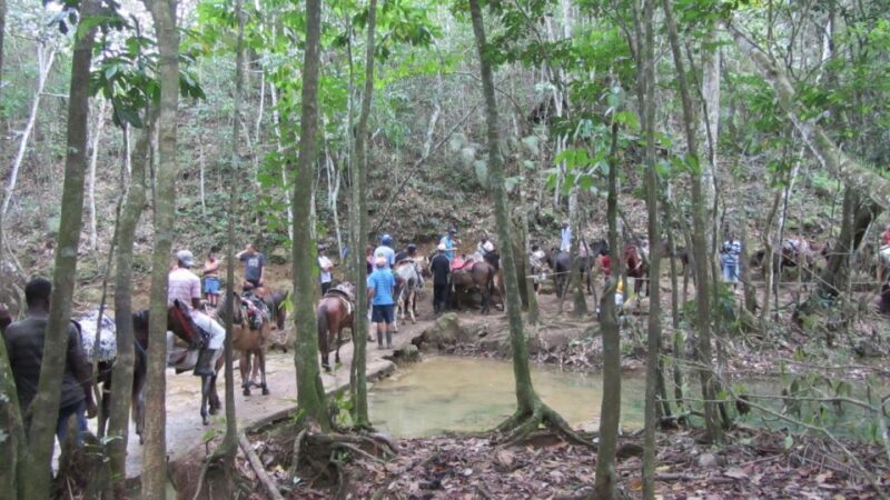From Punta Cana: Samaná, Cayo Levantado & El Limón Waterfall - Final Thoughts: Is This Tour Worth It?