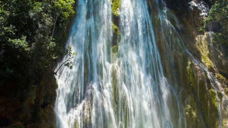 From Punta Cana: Samana Full Day Trip by Bus and Boat - Final Thoughts