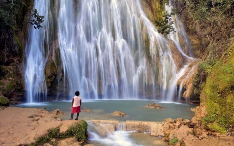 From Punta Cana: Sanctuary Whale Watching Day Trip - Good To Know