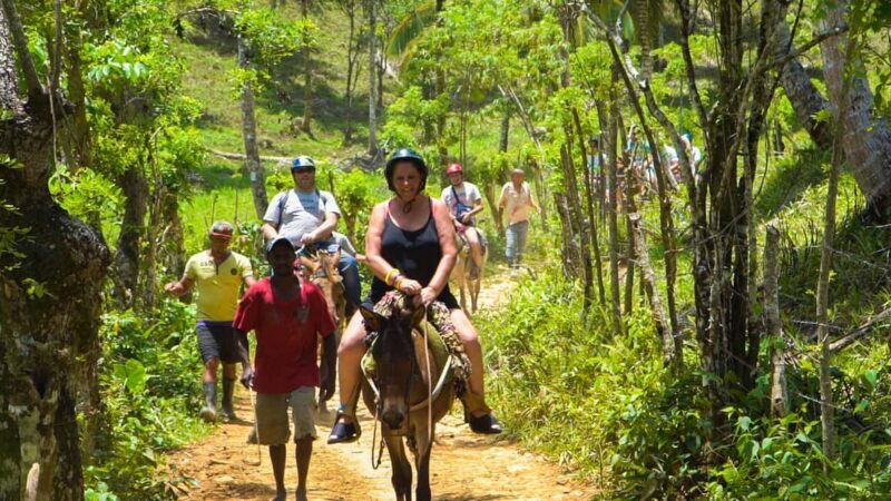 From Punta Cana: Sanctuary Whale Watching Day Trip - Who Is This Tour Best For?
