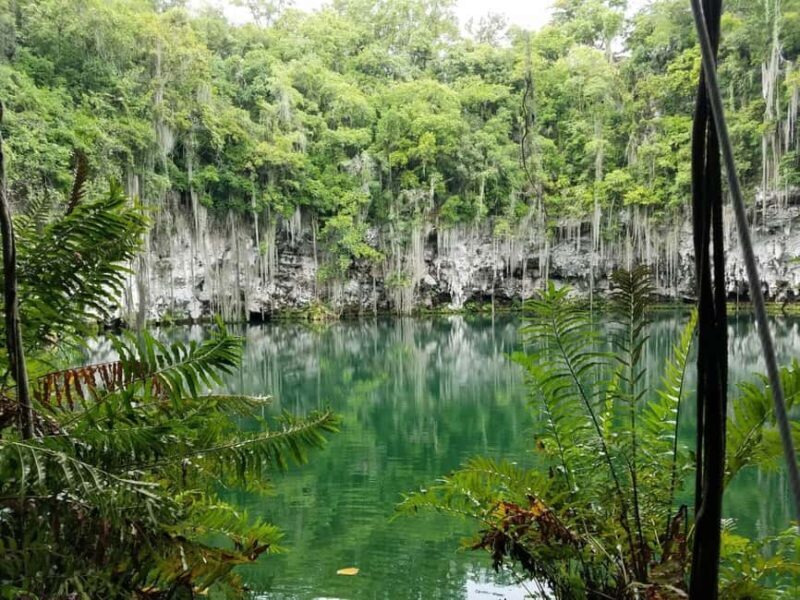 From Punta Cana: Santo Domingo Full-Day Tour with Lunch - An Overview: What to Expect on this Tour