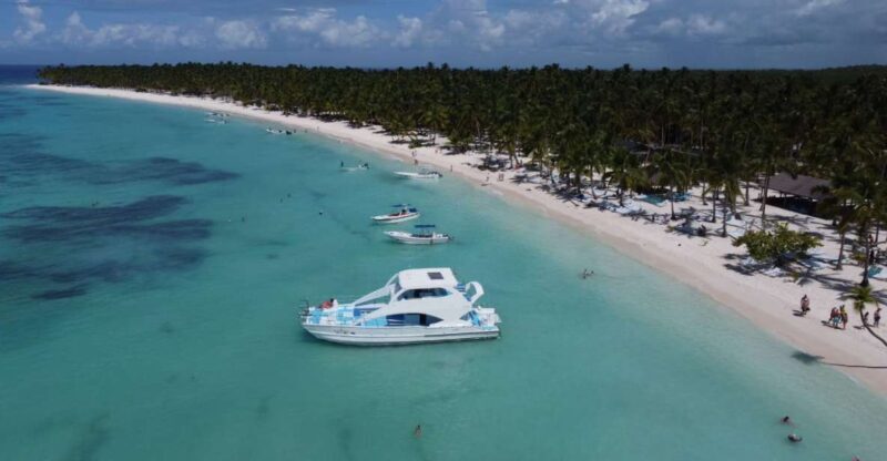 From Punta Cana: Saona and Mano Juan Day Trip by Catamaran - Review Highlights and Practical Considerations