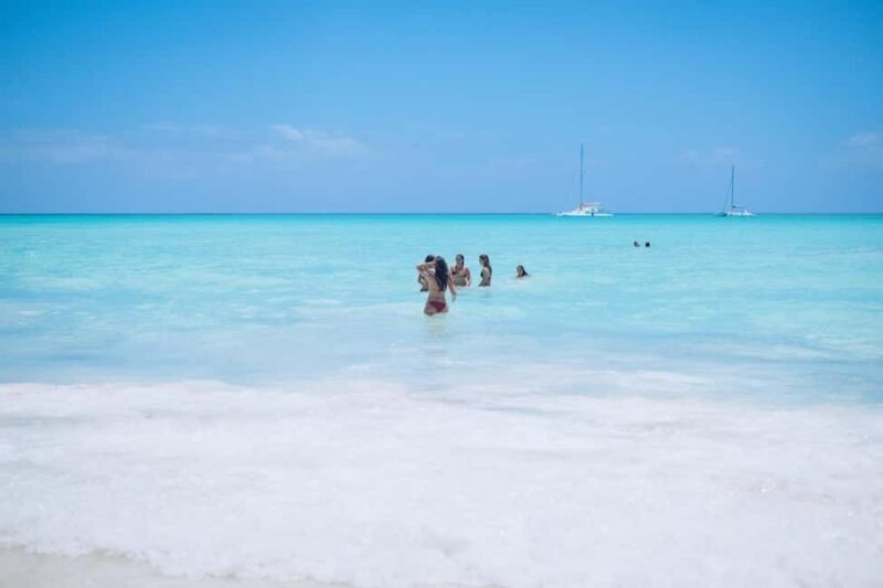 From Punta Cana: Saona Island Day Trip with Buffet Lunch - Overview of the Saona Island Day Trip