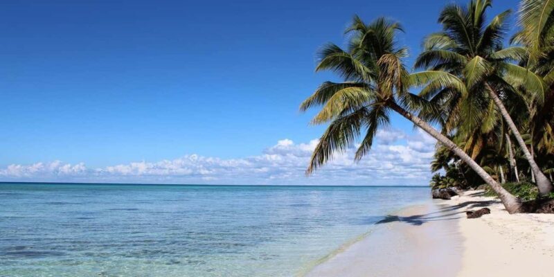 From Punta Cana: Saona Island Day Trip with Lunch and Drinks - Stop at the Natural Swimming Pool: Something Special