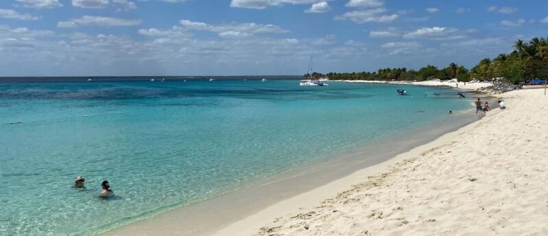 From Punta Cana: Saona Island Full-Day Tour with Lunch - How the Tour Starts: From Your Hotel to the Bayahibe Port