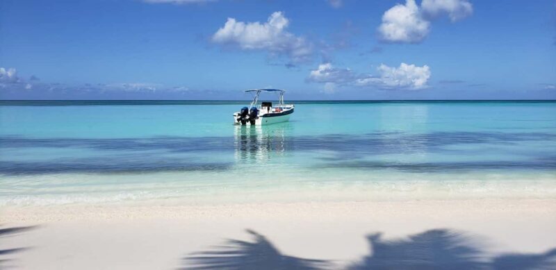 From Punta Cana: Saona Island Full-Day Tour with Lunch - Lunch Time: Authentic Dominican Flavors