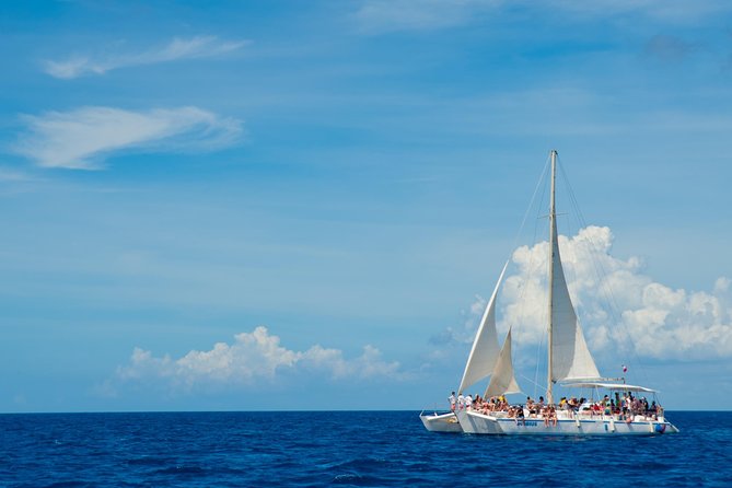 From Punta Cana: Saona Island Royalty - Directions