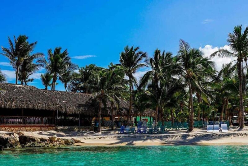 From Punta Cana: Saona Island Speedboat and Catamaran Tour - An In-Depth Look at the Tour Experience