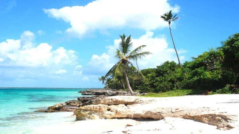 From Punta Cana: Saona Island Tour with BBQ Lunch - Final Thoughts: Is This Tour for You?
