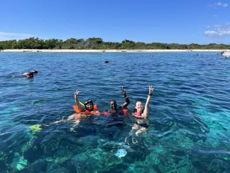 From Punta Cana: Small Group Catalina Island Snorkeling Tour - Good To Know