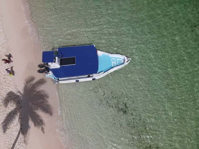 From Punta Cana: Small Group Catalina Island Snorkeling Tour - Pricing and Overall Value