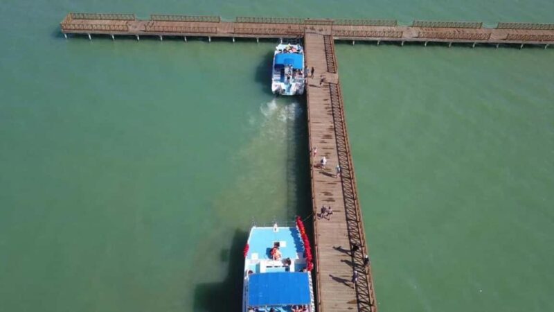 From Punta Cana: Whale Watching and Montana Redonda Tour - FAQ