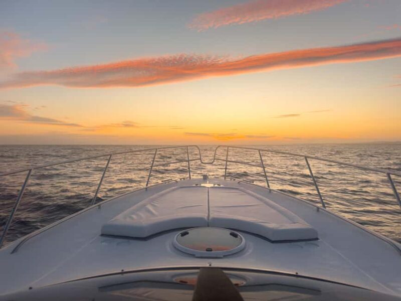 From Quarteira: Luxury Yacht Charter Algarve Coast & Benagil - Who Is This Tour Perfect For?