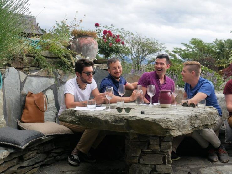 From Queenstown: 4-Hour Afternoon Boutique Wine Tour - Activity Details