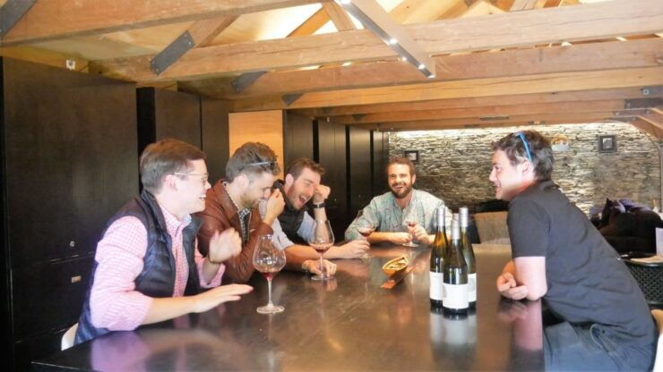 From Queenstown: 4-Hour Afternoon Boutique Wine Tour - Experience