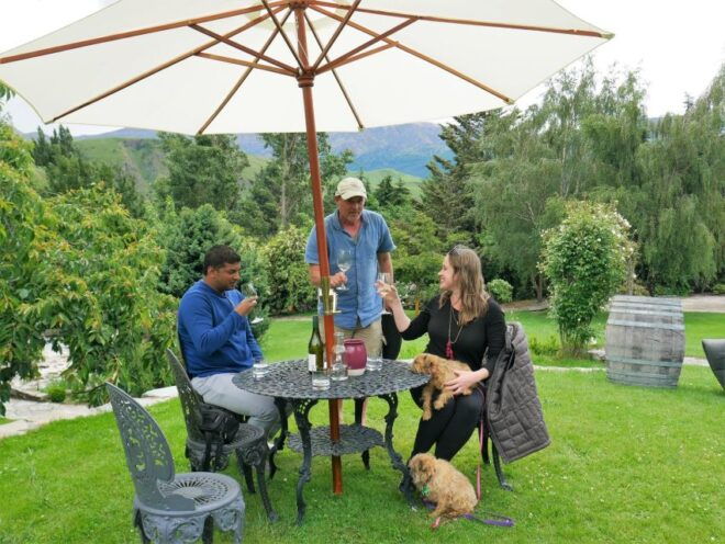 From Queenstown: 4-Hour Afternoon Boutique Wine Tour - Important Information