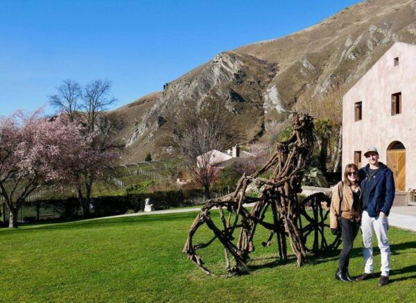 From Queenstown: 4-Hour Afternoon Boutique Wine Tour - The Sum Up