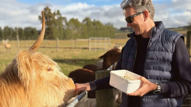 From Queenstown: Coach, Farm Tour & Milford Nature Cruise - An In-Depth Look at the Itinerary