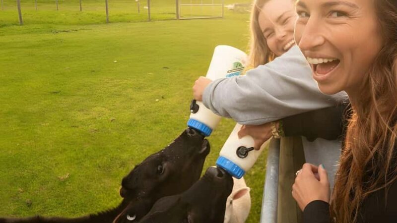 From Queenstown: Coach, Farm Tour & Milford Nature Cruise - Final Thoughts: Who Should Take This Tour?