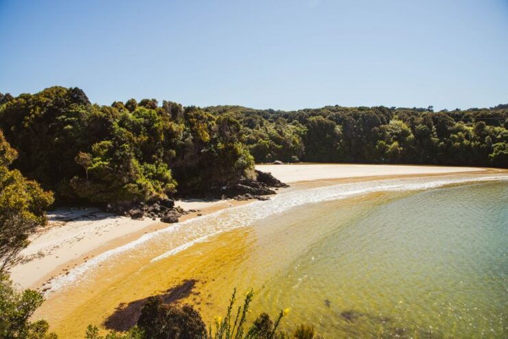 From Queenstown: Day Trip to Stewart Island by Plane - Experience