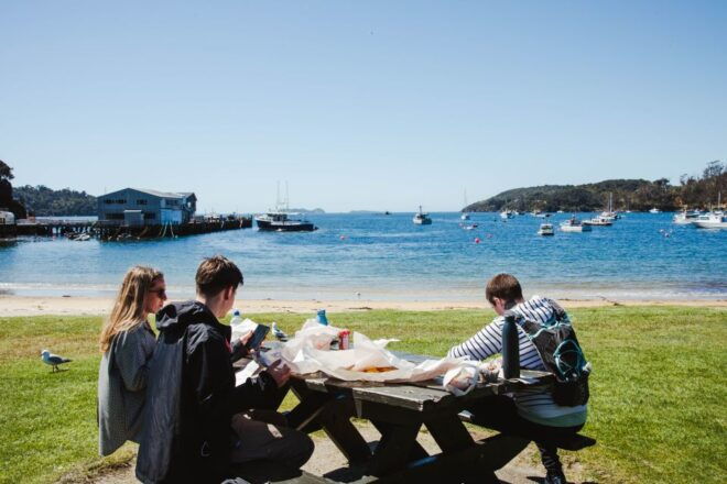 From Queenstown: Day Trip to Stewart Island by Plane - Full Description