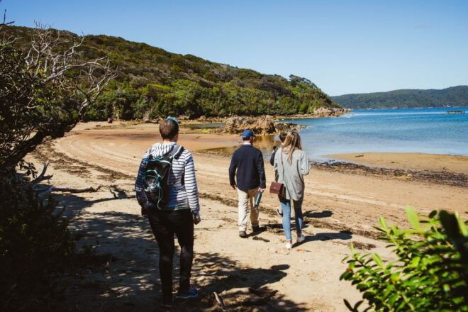 From Queenstown: Day Trip to Stewart Island by Plane - Additional Activities