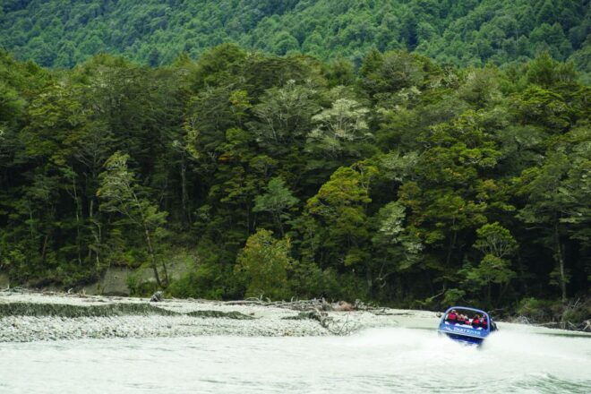 From Queenstown/Glenorchy: Dart River Jet Boat Tour - Common Questions