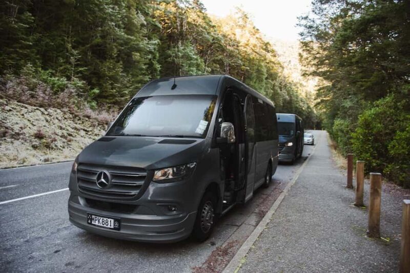 From Queenstown: Milford Sound Business Class with Cruise - Who This Tour Is Best For