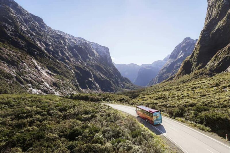 From Queenstown: Milford Sound Coach, Cruise, Scenic Flight - Who Should Consider This Tour?