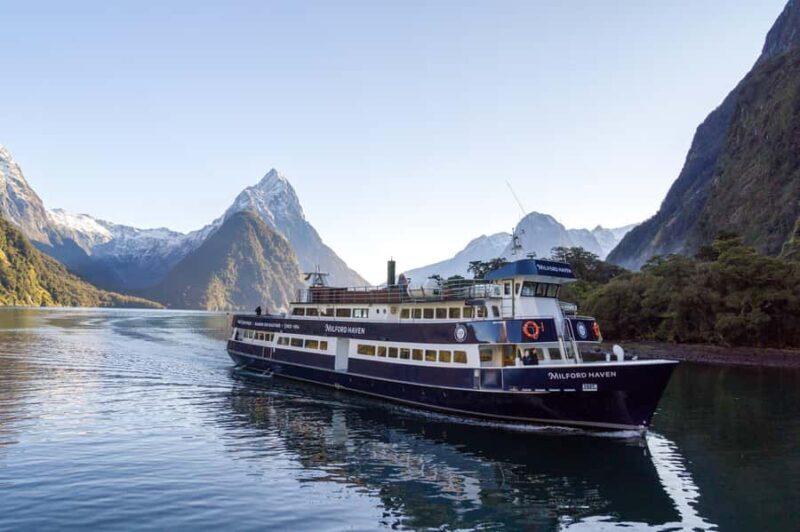 From Queenstown: Milford Sound Cruise and Coach Day Tour - The Cruise Experience: Water, Wildlife, and Wow Moments
