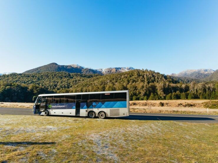 From Queenstown: Milford Sound Cruise and Coach Day Trip - Experience Highlights