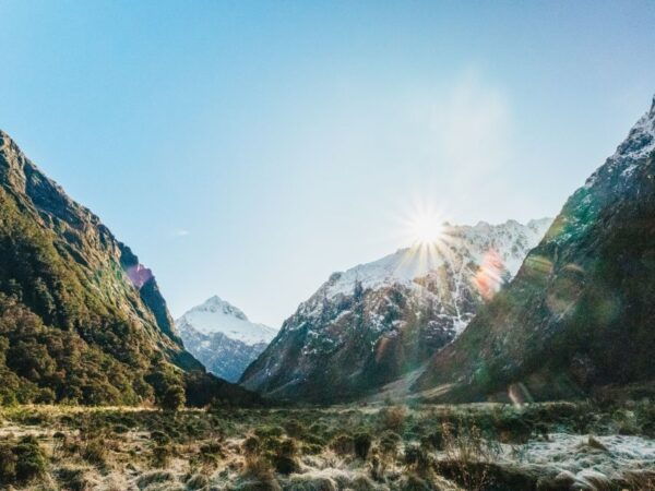 From Queenstown: Milford Sound Cruise and Coach Day Trip - Similar Activities