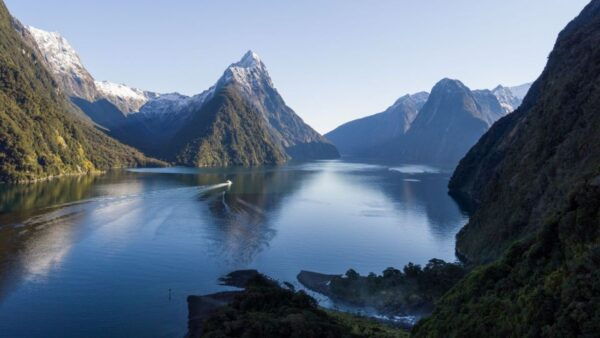 From Queenstown: Milford Sound Cruise and Coach Day Trip - Common Questions