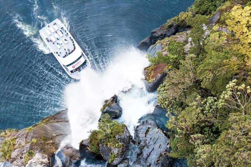 From Queenstown: Milford Sound Day Trip on Premium Coach - The Milford Sound Experience