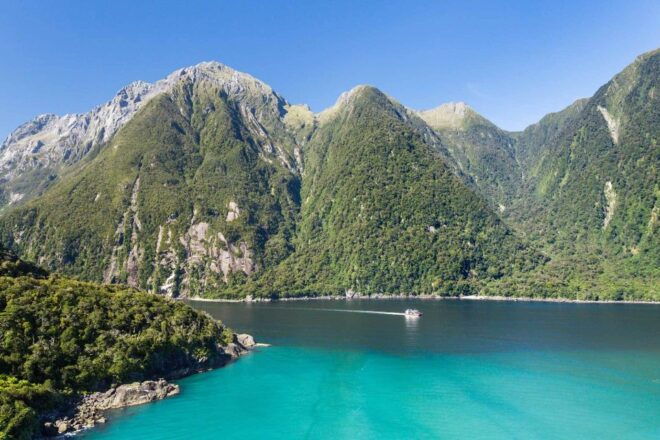 From Queenstown: Milford Sound Flight and Boat Cruise - Customer Reviews