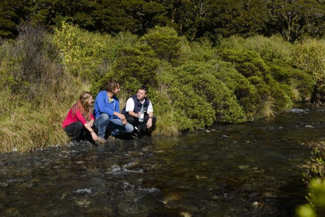 From Queenstown: Milford Sound Full-Day Tour With Lunch - Features of the Tour