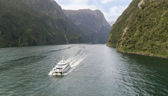 From Queenstown: Milford Sound Full-Day Tour With Lunch - Highlights of Milford Sound