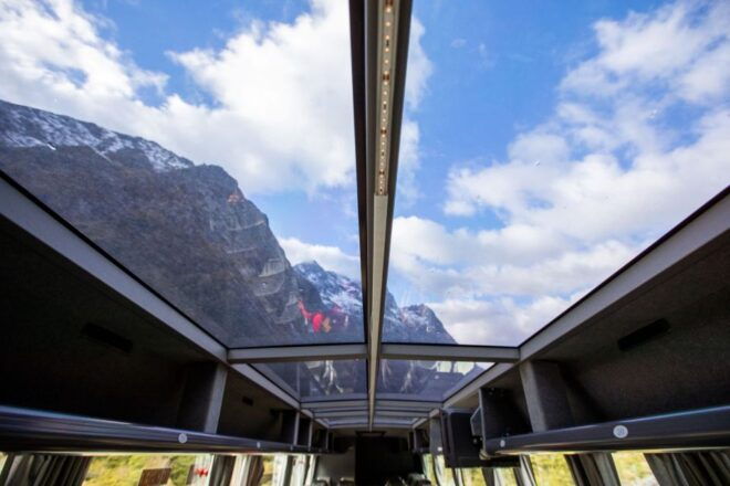 From Queenstown: Milford Sound Full-Day Tour With Lunch - Wildlife Spotting Opportunities