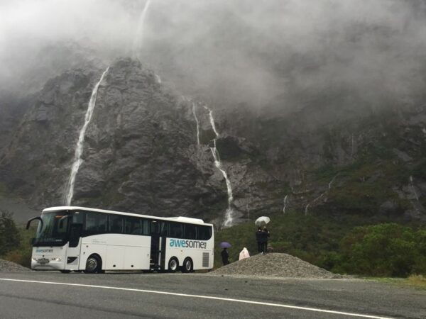From Queenstown: Milford Sound Full-Day Tour With Lunch - Similar Water Activities