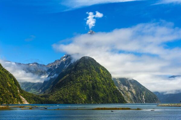 From Queenstown: Milford Sound Full-Day Tour With Lunch - Customer Reviews and Ratings