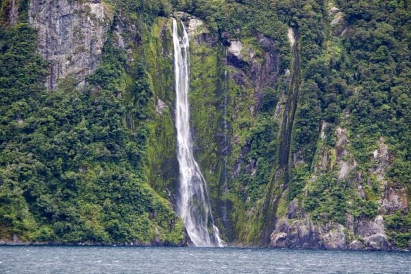 From Queenstown: Milford Sound Full-Day Trip by Plane & Boat - Complimentary Services and Amenities