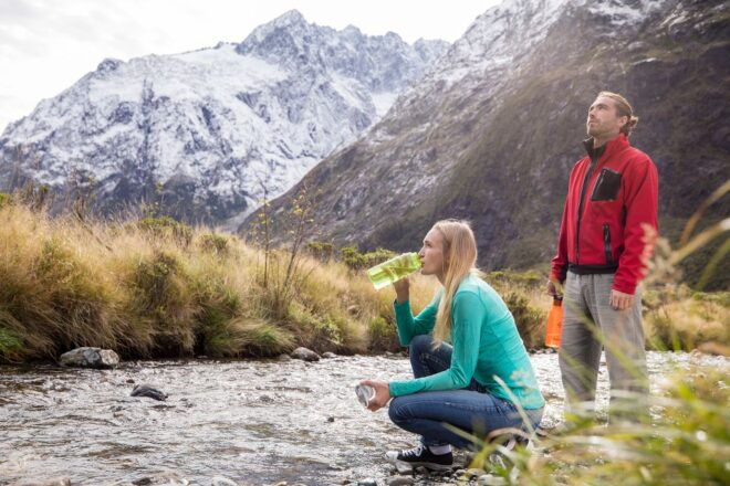 From Queenstown: Milford Sound, Observatory & Cruise W Lunch - In-Depth Milford Sound Day Trip