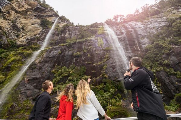 From Queenstown: Milford Sound, Observatory & Cruise W Lunch - Cruising and Underwater Observatory