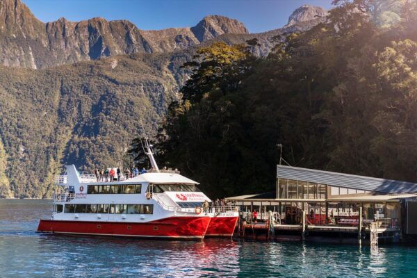 From Queenstown: Milford Sound, Observatory & Cruise W Lunch - Customer Reviews and Ratings