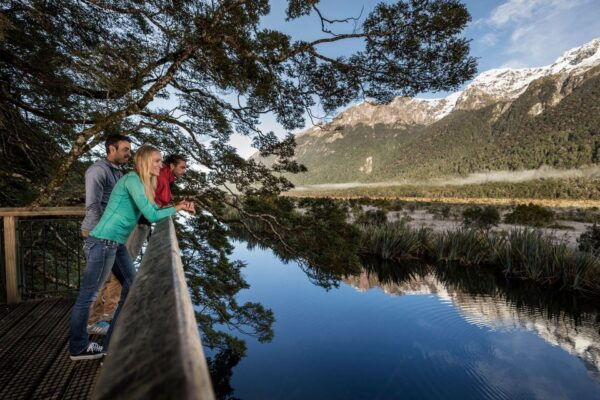 From Queenstown: Milford Sound, Observatory & Cruise W Lunch - Common Questions