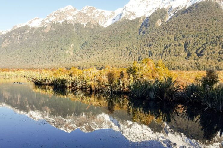 From Queenstown: Milford Sound Premium Day Tour and Cruise - Highlights of the Tour
