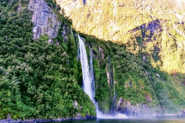 From Queenstown: Milford Sound Premium Day Tour and Cruise - Common Questions
