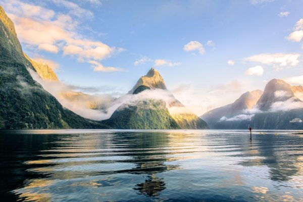 From Queenstown: Milford Sound Premium Day Tour and Cruise - The Sum Up