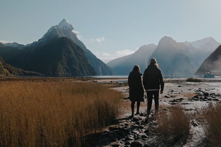 From Queenstown: Milford Sound Scenic Flight & Nature Tour - Scenic Flight Description