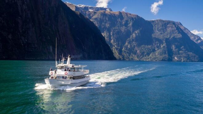 From Queenstown: Milford Sound Tour and Cruise With Lunch - Land and Sea Experience With Stunning Views